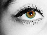 Fotoblog puissancee