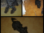 Fotoblog parycjaa29