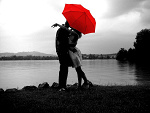 Fotoblog fuuckyoubiitch