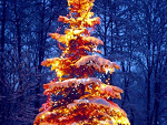 Fotoblog opisyyyxd12