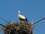 Fotoblog oliwka633