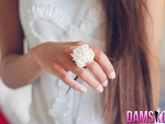 Fotoblog justek455wppl