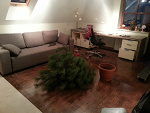 Fotoblog jaskierv2