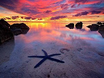 Fotoblog loveadaandolek