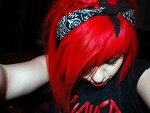 Fotoblog coookii
