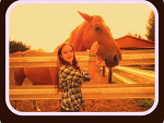 Fotoblog maniaxhorse