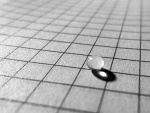 Fotoblog alempee