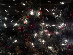 Fotoblog iwsuerto