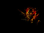 Fotoblog halo2