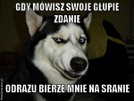 Fotoblog xxmoniczqxx