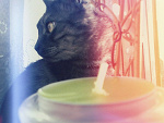 Fotoblog roznerowaa