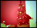 Fotoblog snickerssx3
