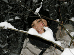 Fotoblog malina211