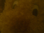 Fotoblog dacode