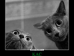 Fotoblog ooosandruskaooo