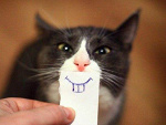 Fotoblog coolxd222