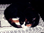 Fotoblog julasek