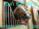 Fotoblog aankkaaa