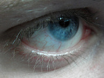 Fotoblog nenomisteriosa