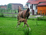 Fotoblog xxmonikaaaxx