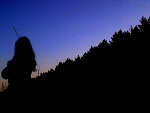 Fotoblog sorypreferujezajebistych