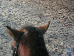 Fotoblog darusxxxx