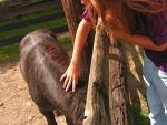 Fotoblog trolololoo