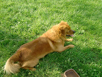 Fotoblog actualityy