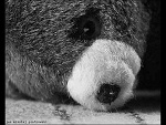 Fotoblog martynamichal