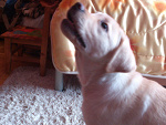 Fotoblog crazyandhappy