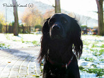 Fotoblog maarcepanowa
