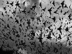 Fotoblog sadnessandsmile