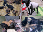 Fotoblog ezoterycznax3