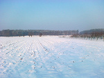Fotoblog kzwirek92