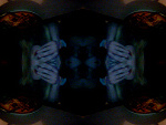 Fotoblog brzpowrotna