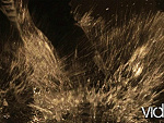 Fotoblog videoalways