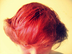 Fotoblog nazapleczu