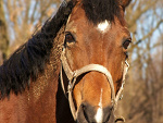 Fotoblog anmi0