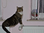 Fotoblog szesznesz14