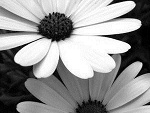 Fotoblog landrynaa8802