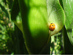 Fotoblog ewa242421