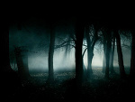 Fotoblog patr0nix