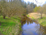 Fotoblog zjadlabymsobiecos
