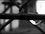 Fotoblog czeko1425