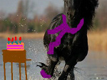 Fotoblog tysiek024