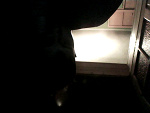 Fotoblog maniek701