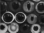 Fotoblog unknownforce