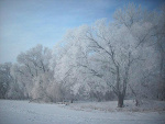 Fotoblog nataliap915