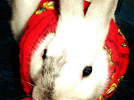 Fotoblog sweetyone
