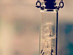 Fotoblog bornunderaluckystar